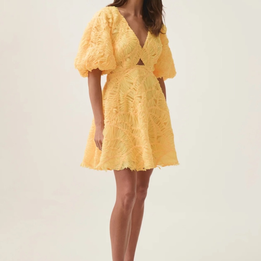 🖤NWT🔺 Aje. Brand FLORENTIAL Mini Swing Dress - Picture 3 of 17